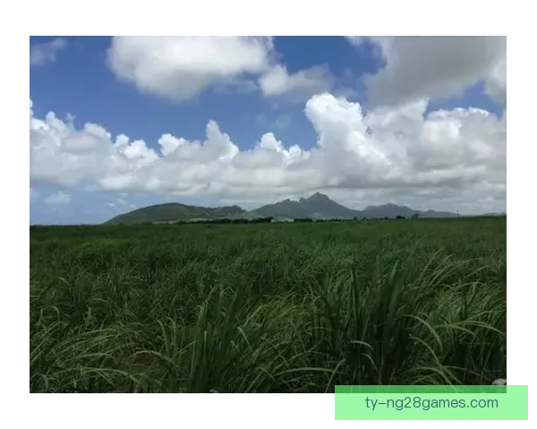 墨士廉等帆船健儿现身滨海湾 进行水上游行